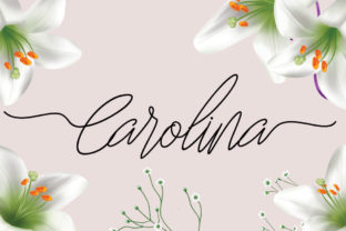 Carolina: A Fine Monoline Script Font for Handmade Branding